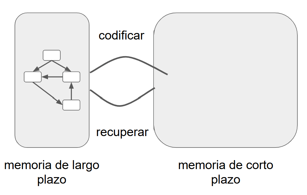 Se añaden dos flechas curvas que conectan los mismos bloques: la superior, etiquetada ‘codificar’, va de la memoria de corto plazo a la de largo plazo; la inferior, etiquetada ‘recuperar’, va en sentido inverso. Ilustra el flujo bidireccional de información entre ambos sistemas de memoria.