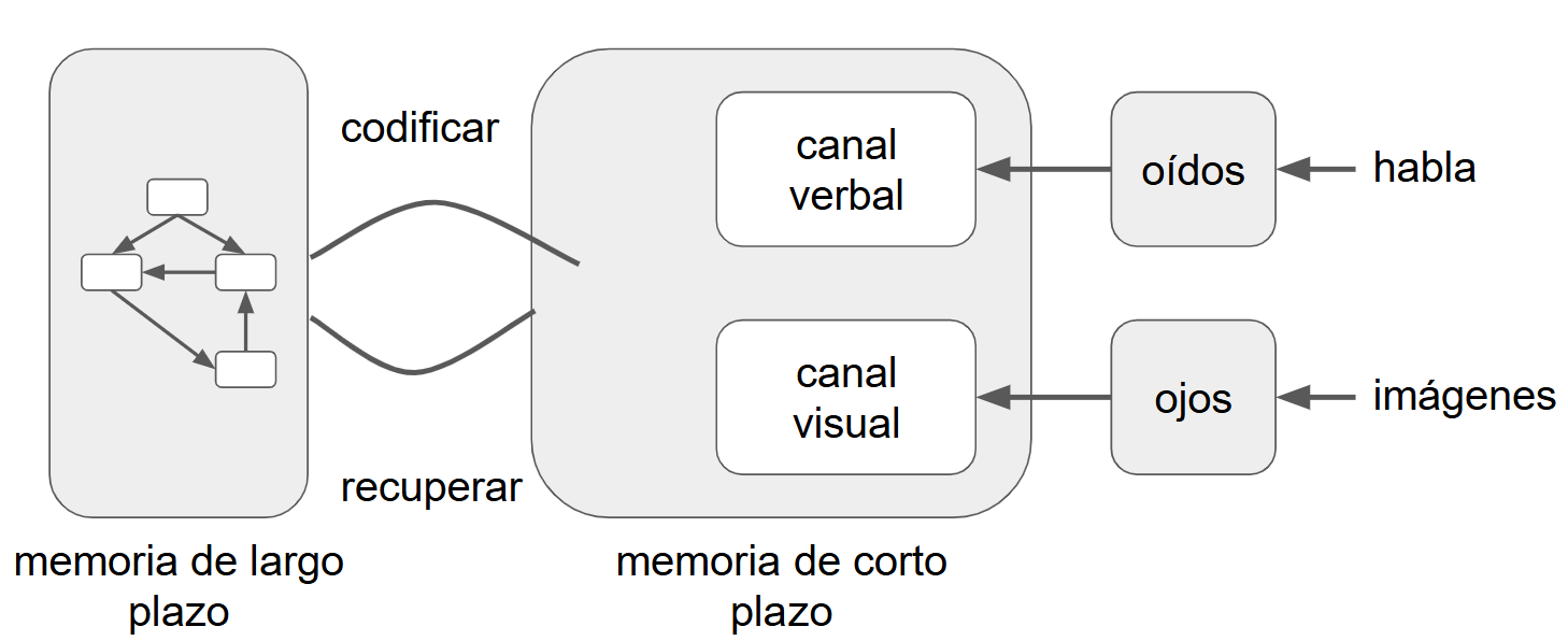 Sobre la memoria de corto plazo se muestran ahora dos submódulos: ‘canal verbal’ (arriba) y ‘canal visual’ (abajo). Cada uno recibe entrada de un bloque sensorial: los ‘oídos’ para la ‘habla’ y los ‘ojos’ para las ‘imágenes’. Las flechas sensoriales apuntan hacia los canales, que siguen conectados con la memoria de largo plazo mediante las rutas de ‘codificar’ y ‘recuperar’.