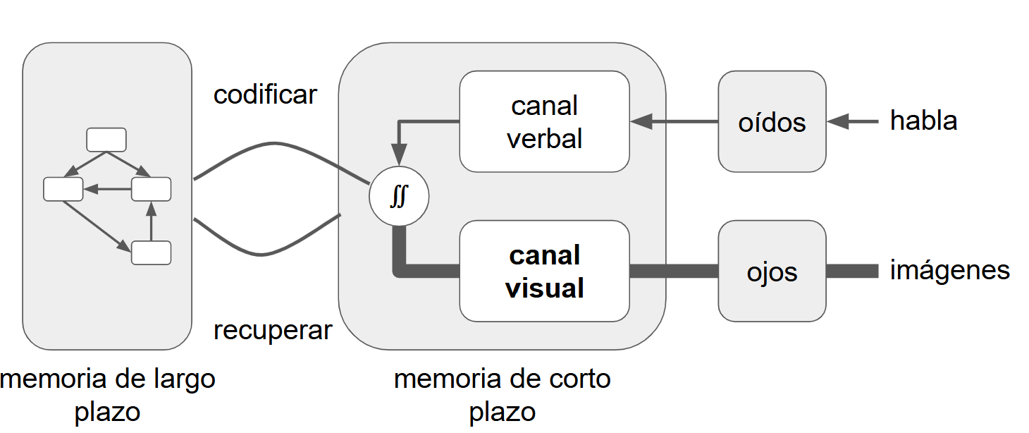 Versión completa con énfasis en la vía visual: los canales verbal y visual desembocan en un círculo de integración que luego codifica hacia la memoria de largo plazo. Las flechas provenientes de los ‘ojos’ y hacia el ‘canal visual’, así como la salida de este canal, se dibujan más gruesas para destacar una carga mayor en la ruta visual, mientras la vía auditiva/verbal mantiene líneas finas. Se conservan las rutas de ‘codificar’ y ‘recuperar’ entre la memoria de corto y largo plazo.