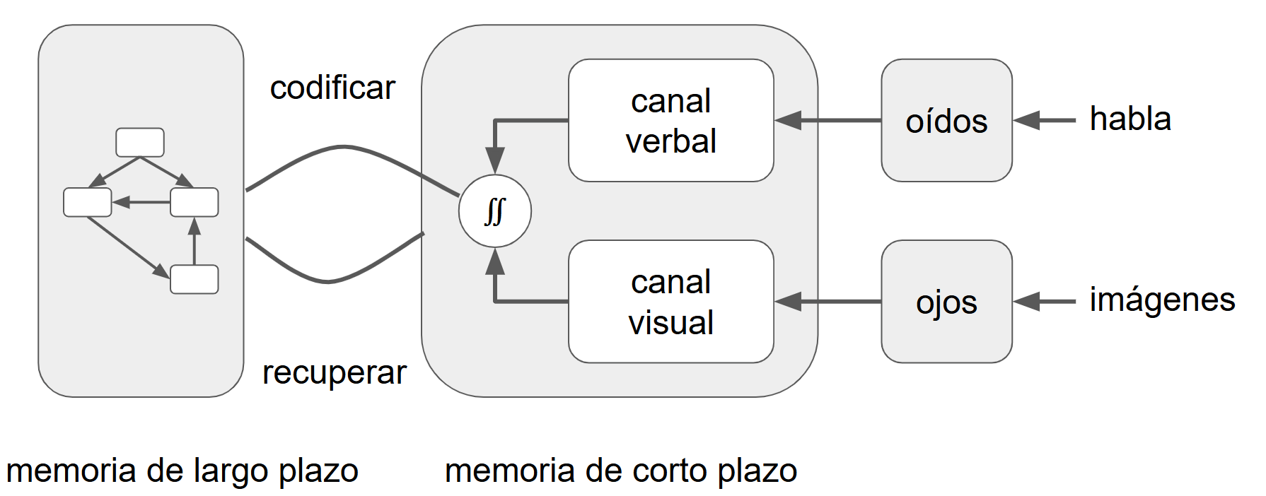 Esquema que presenta dos recuadros principales, uno llamado memoria de largo plazo y otro memoria de corto plazo. El recuadro memoria de largo plazo contiene un modelo mental de cajas y flechas que se relacionan entre sí. En el recuadro memoria de corto plazo, hay una caja representando al canal visual y otra caja representando al canal verbal. Desde ambas cajas salen una flecha hacia un signo de integración doble desde el cual sale una relación llamada codificar hacia la memoria de largo plazo. Desde la memoria de largo plazo sale una relación llamada recuperar hacia la memoria de corto plazo. Las imágenes tomadas a partir de los ojos y el habla registrada por medio de los oídos están por fuera de los dos recuadros principales y se relacionan con los canales visuales y verbales de la memoria a corto plazo, respectivamente.