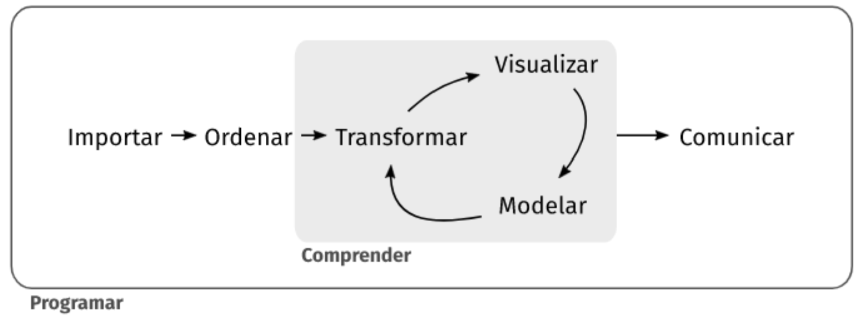 Flujo de trabajo de ciencia de datos dentro de un rectángulo grande titulado Programar. Una banda gris interna llamada Comprender encadena las etapas Importar, Ordenar y Transformar. De Transformar surgen flechas hacia Visualizar y Modelar que se retroalimentan entre sí, y una flecha de salida apunta a Comunicar.